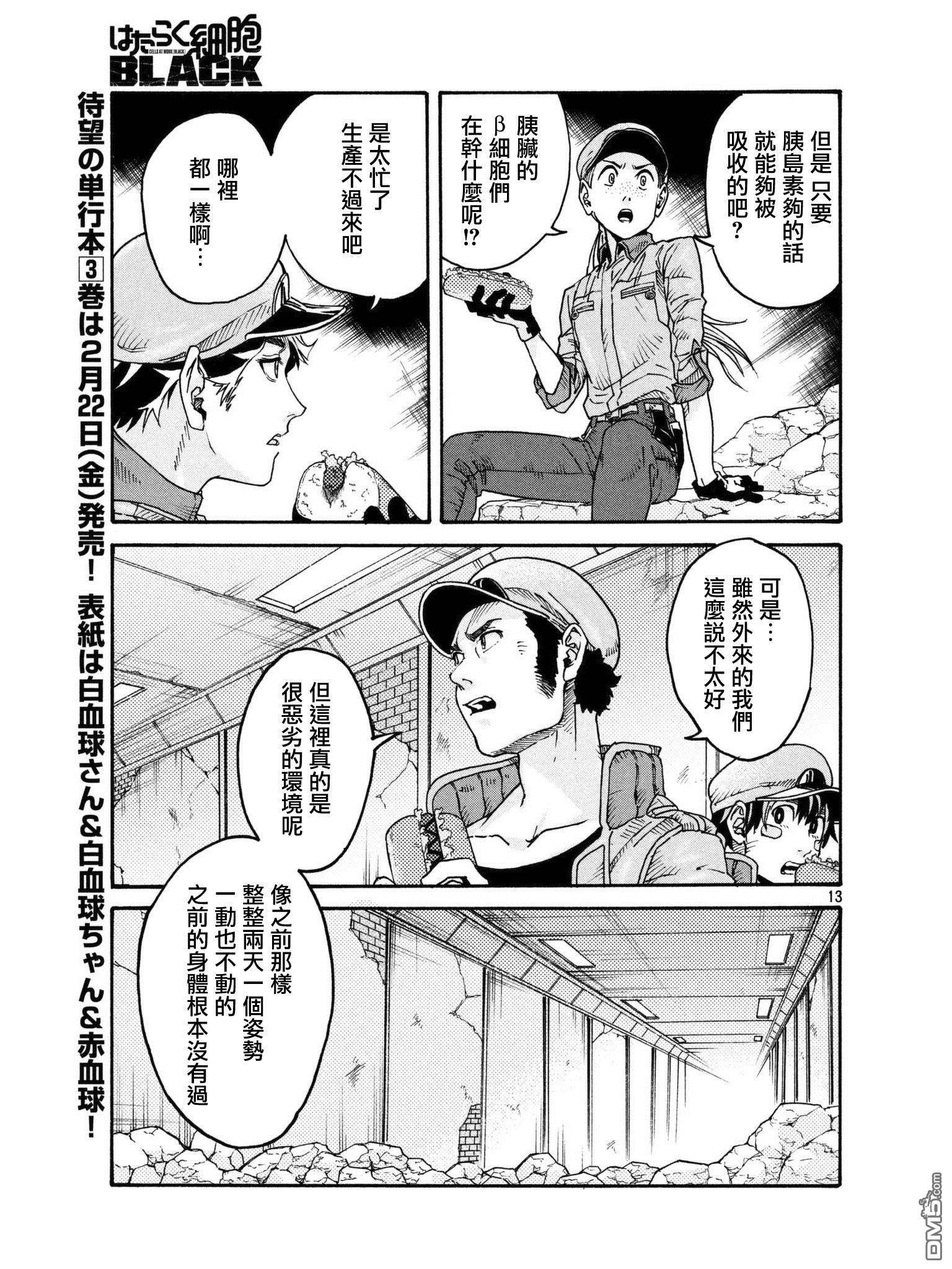 第 13 页
