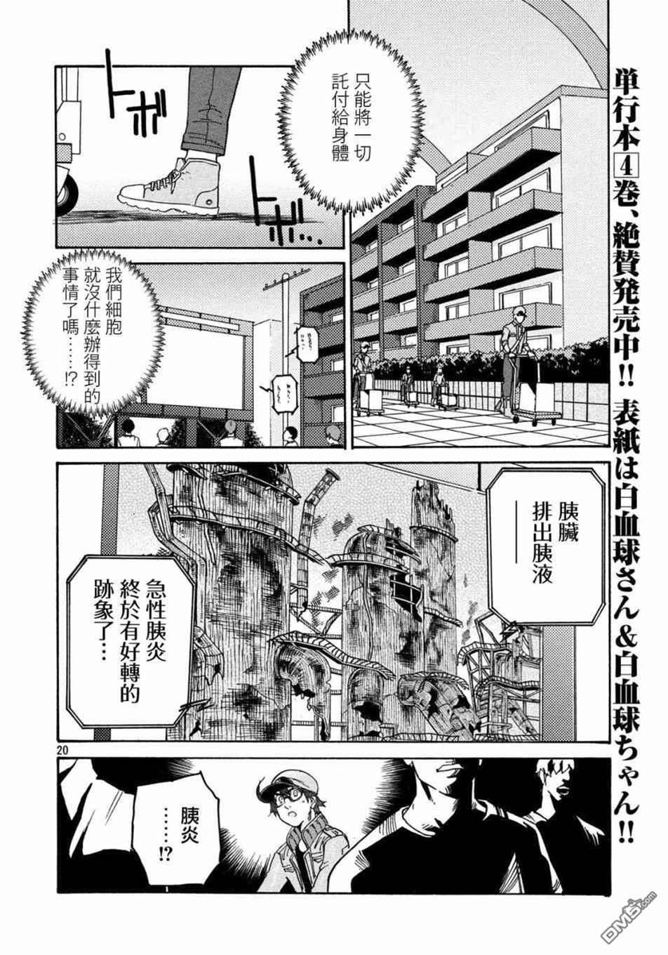 第 20 页