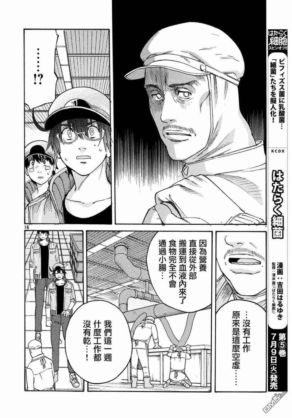 第 16 页
