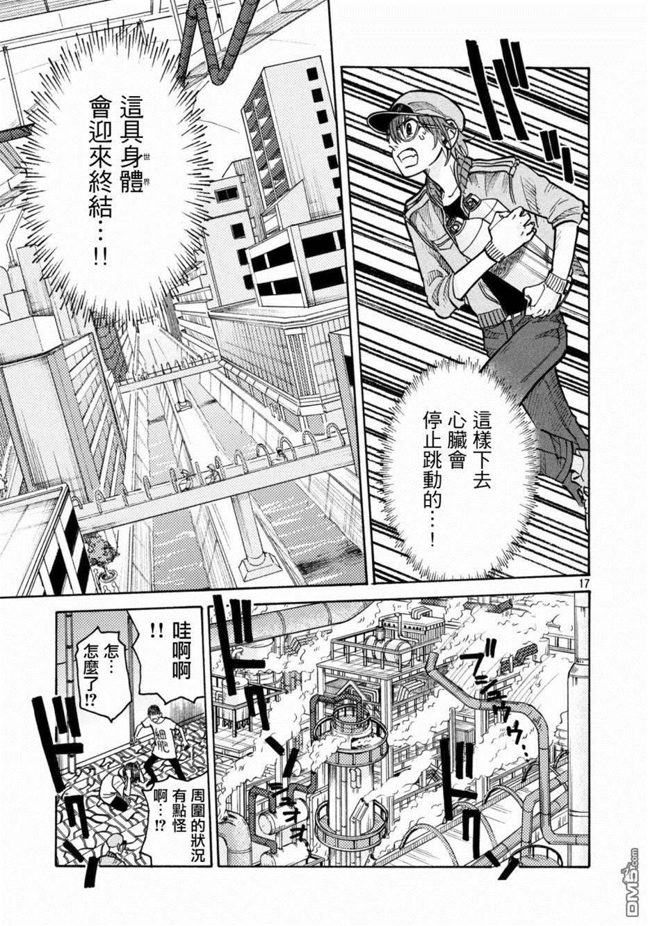 第 17 页