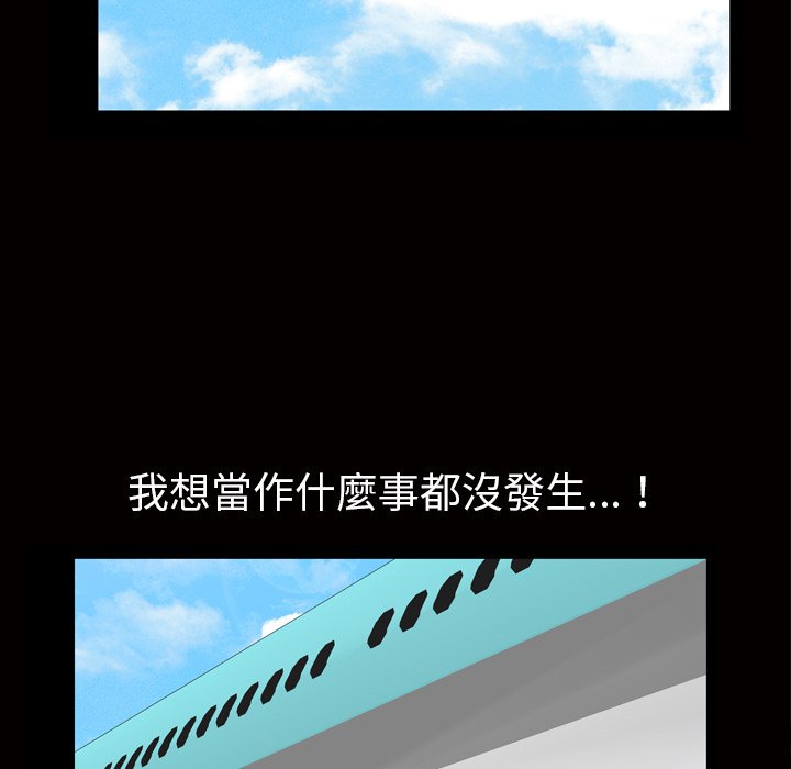 第 95 页
