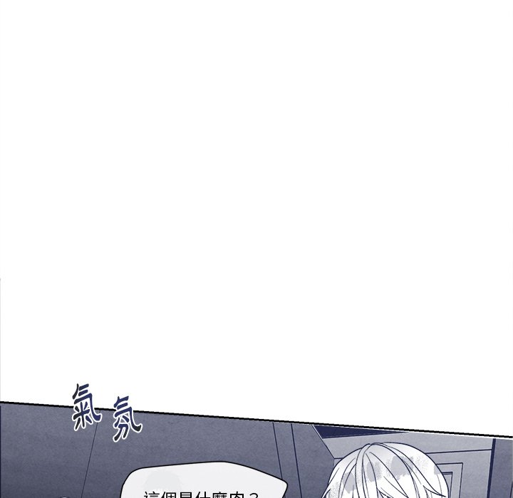 第 99 页