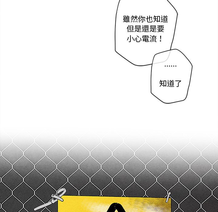 第 81 页