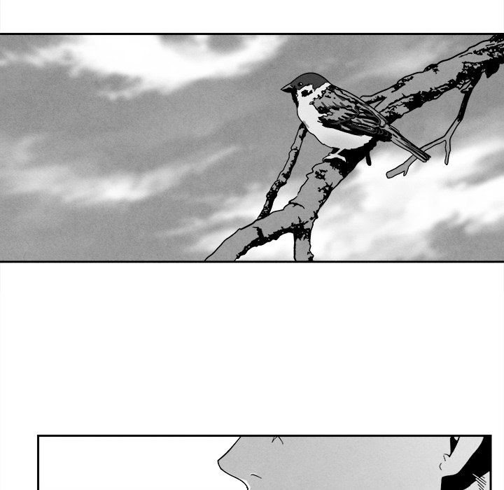 第 102 页