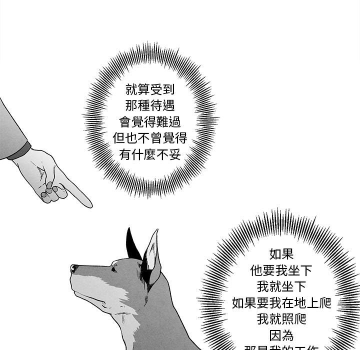 第 68 页