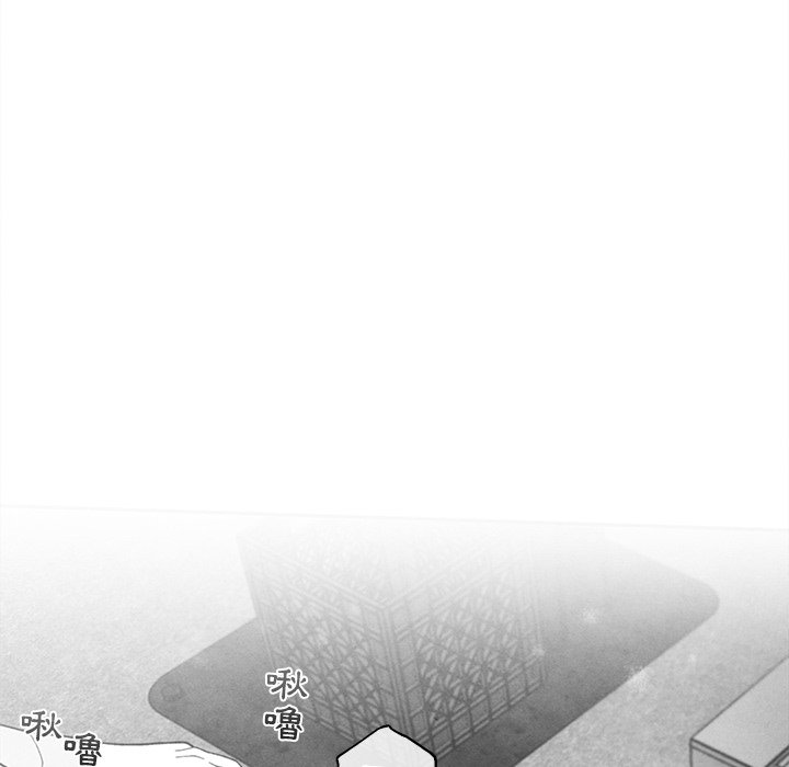 第 87 页