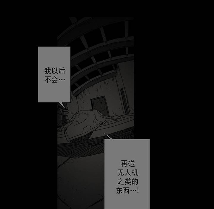 第 68 页